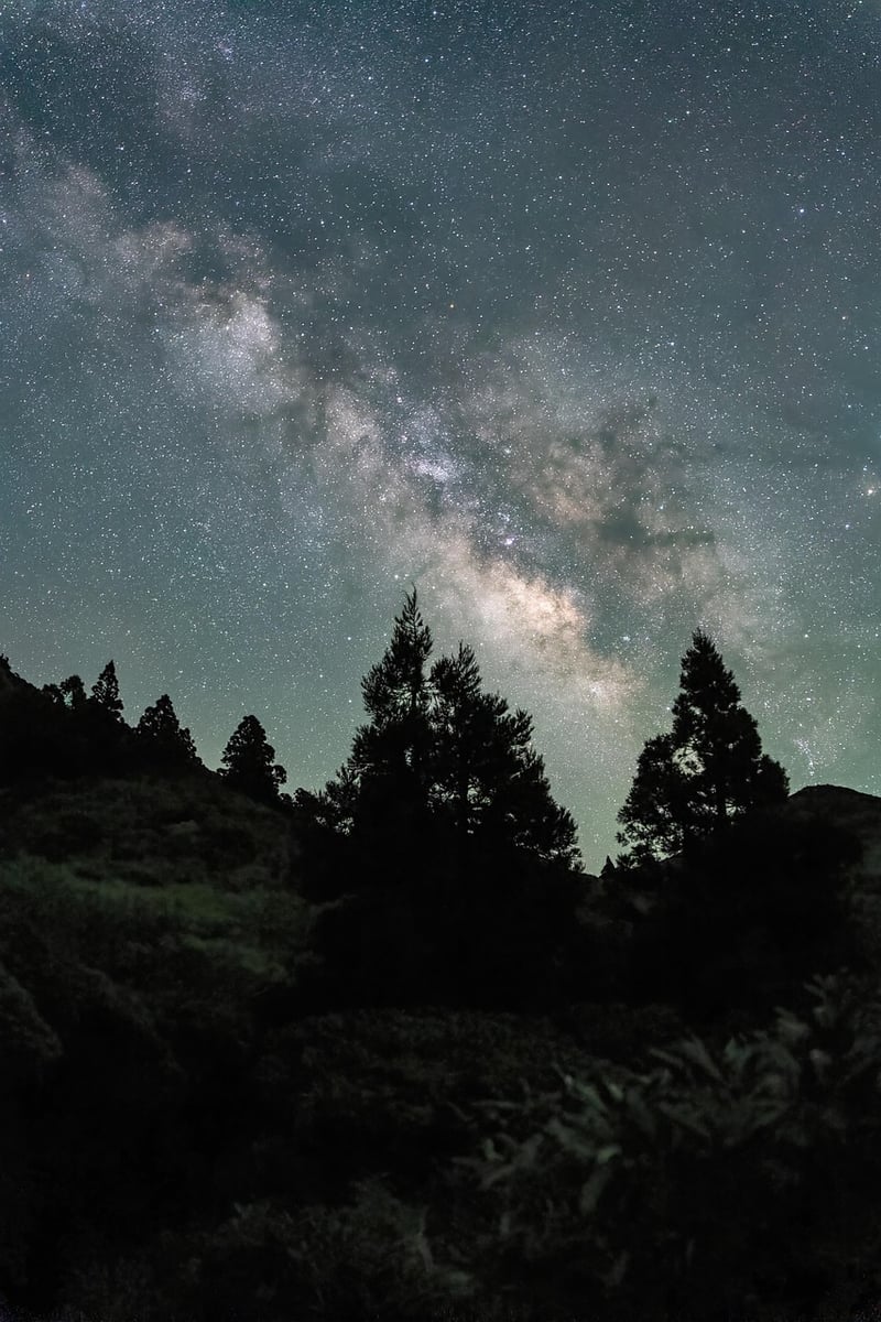 Milky Way Fashion
