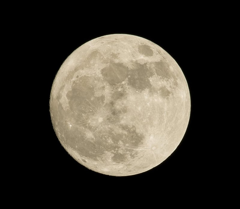 Moon Phase Decor